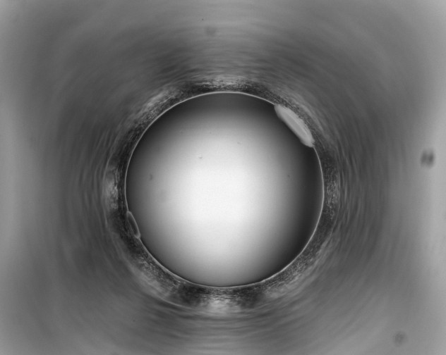X0000099440264200805161141