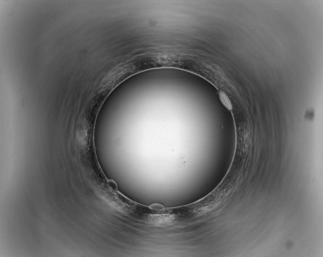 X0000099440266200805161141