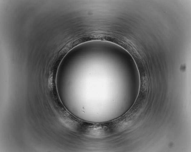 X0000099440267200805161141