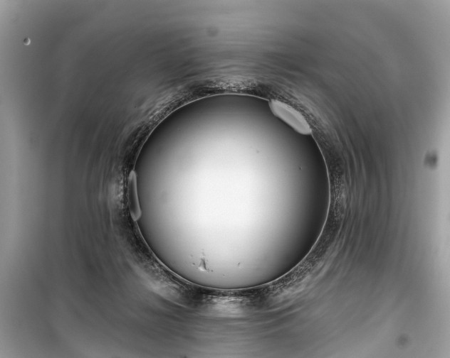 X0000099440268200805161141