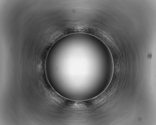 X0000099440270200805161141