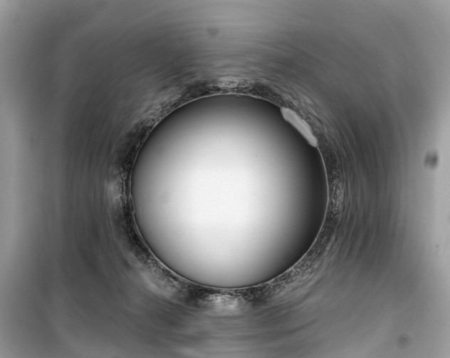 X0000099440272200805161141