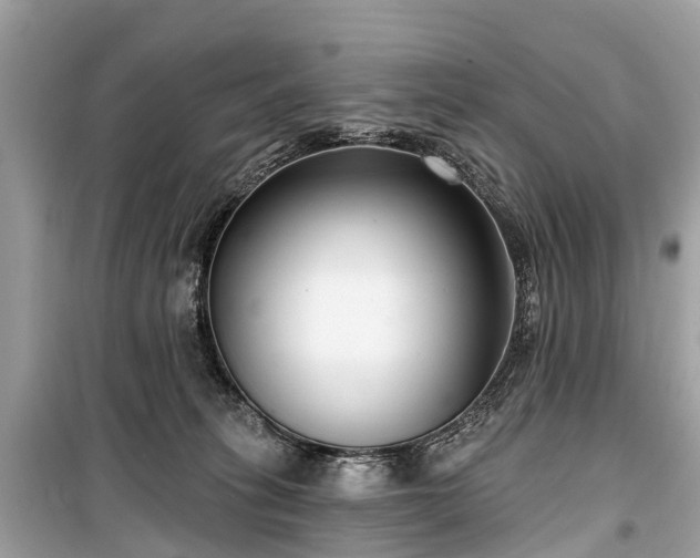 X0000099440275200805161141