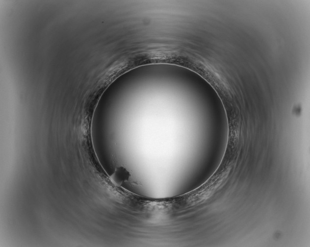 X0000099440277200805161141