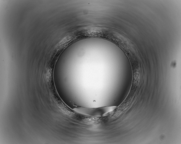 X0000099440278200805161141