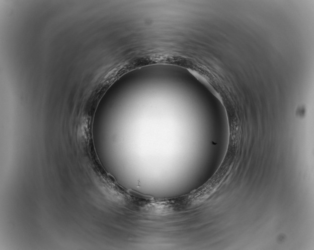 X0000099440280200805161141