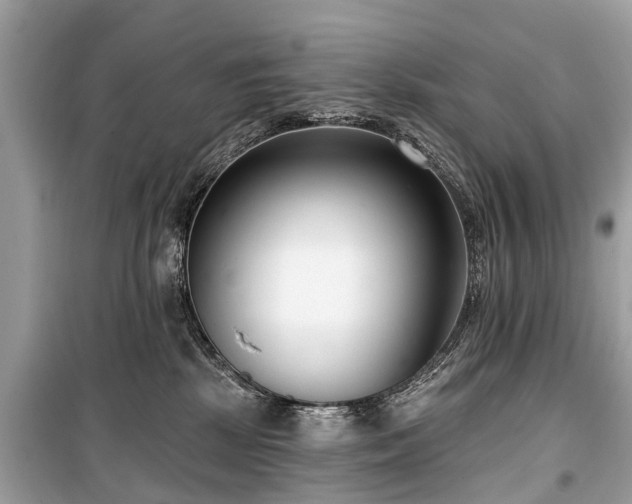 X0000099440281200805161141
