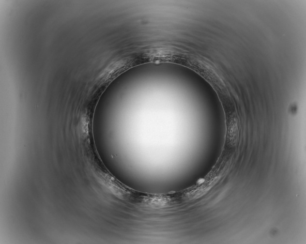 X0000099440282200805161141