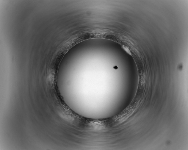 X0000099440283200805161141