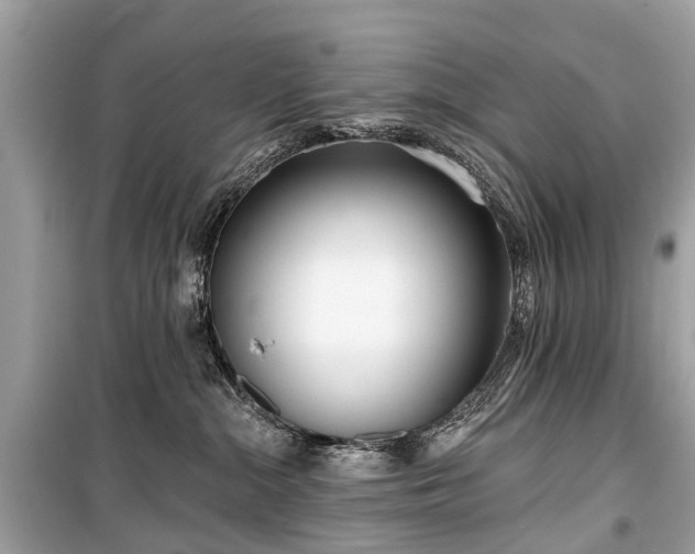 X0000099440284200805161141