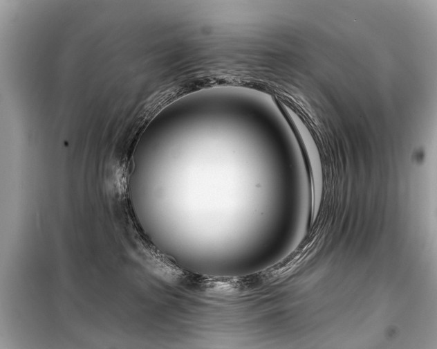 X0000099440285200805161141