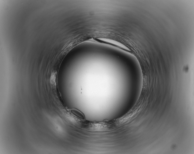 X0000099440286200805161141