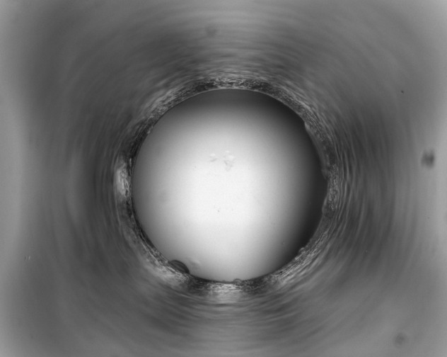 X0000099440287200805161141