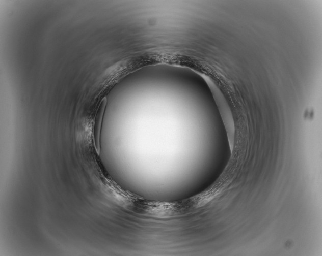 X0000099440288200805161141