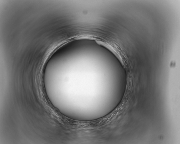 X0000099440289200805161140