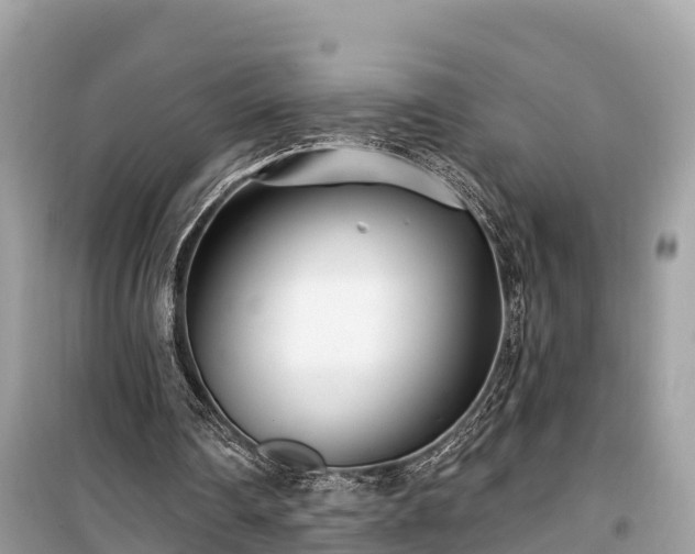 X0000099440290200805161140