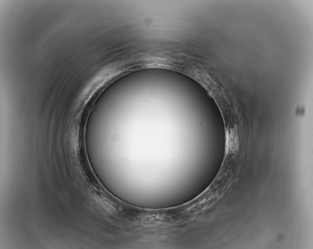 X0000099440291200805161140