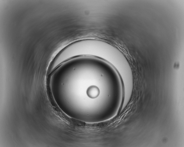 X0000099440292200805161140