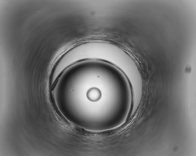 X0000099440293200805161140