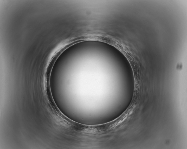 X0000099440294200805161140