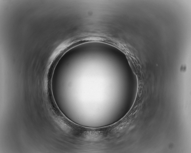 X0000099440296200805161140