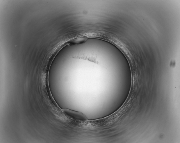 X0000099440297200805161140