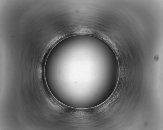 X0000099440298200805161140