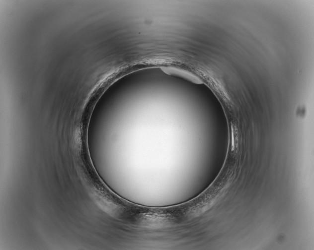 X0000099440300200805161140