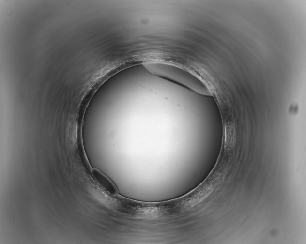 X0000099440301200805161140