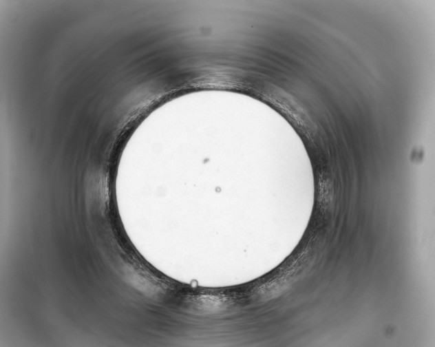X0000099440302200805161140