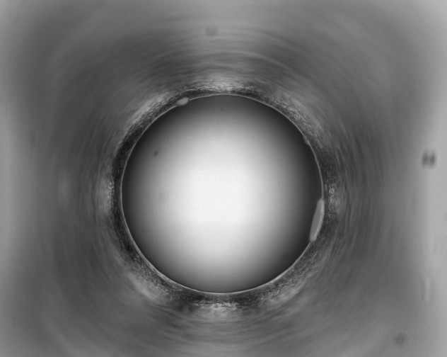 X0000099440304200805161140