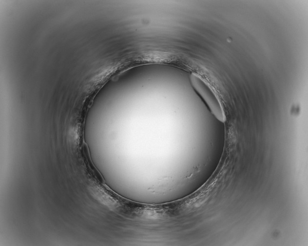 X0000099440305200805161140