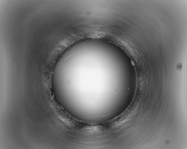 X0000099440307200805161140