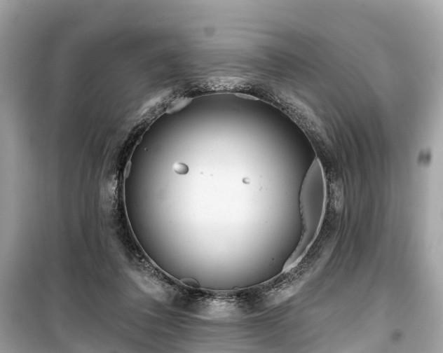X0000099440308200805161140