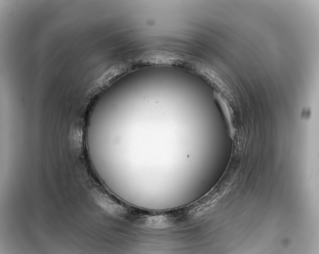 X0000099440309200805161140