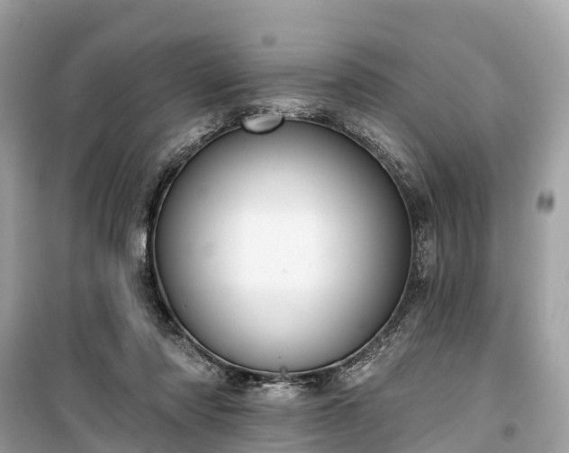 X0000099440310200805161140
