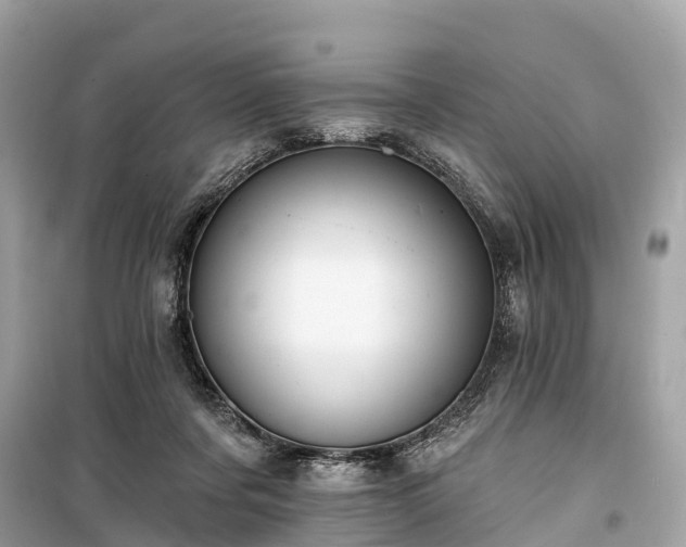 X0000099440311200805161140