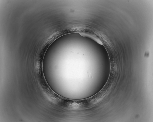 X0000099440312200805161140