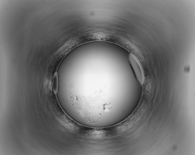 X0000099440313200805161140