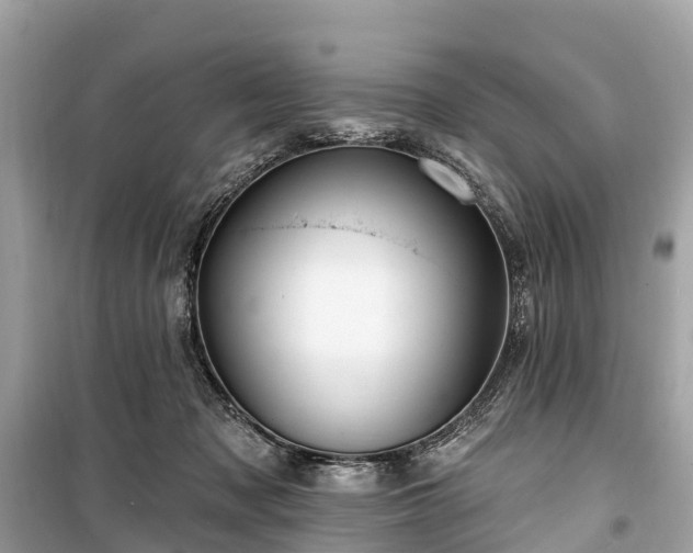 X0000099440317200805161140