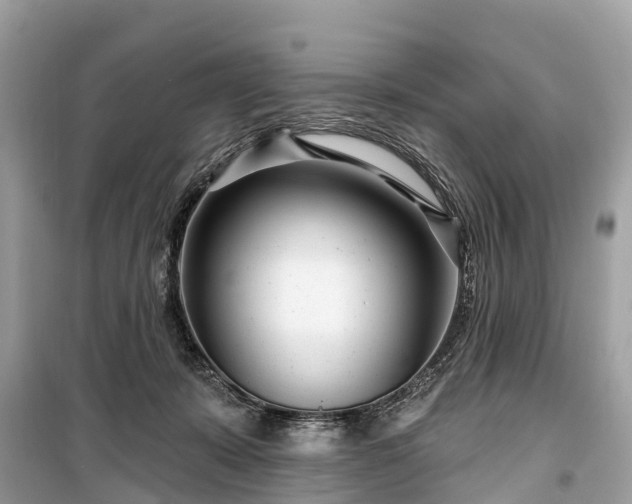 X0000099440319200805161140