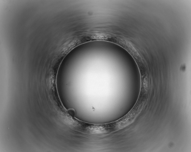 X0000099440322200805161140