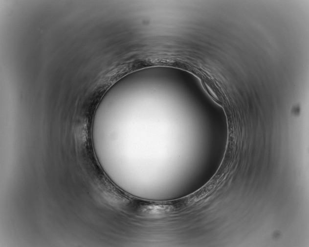X0000099440323200805161140
