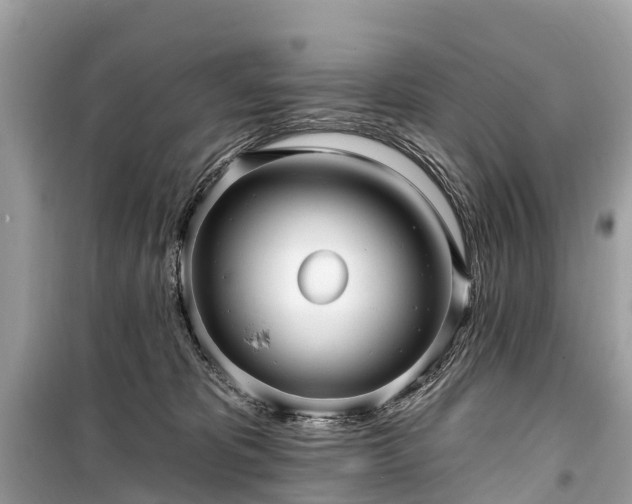 X0000099440325200805161140