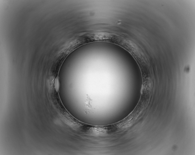 X0000099440327200805161140