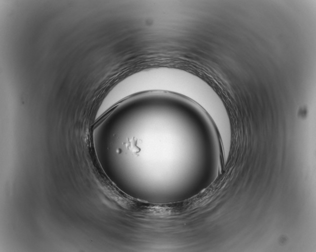 X0000099440328200805161140