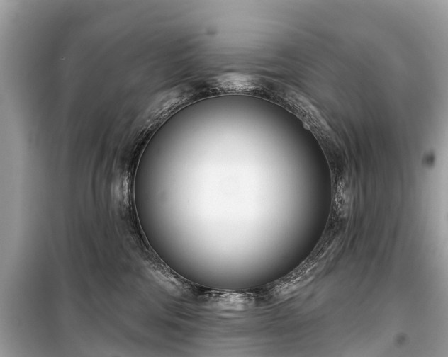 X0000099440330200805161140