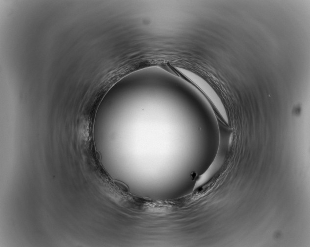 X0000099440331200805161140