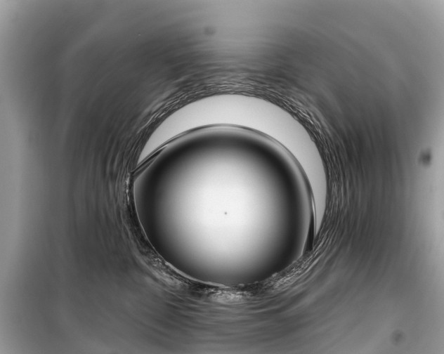 X0000099440332200805161140