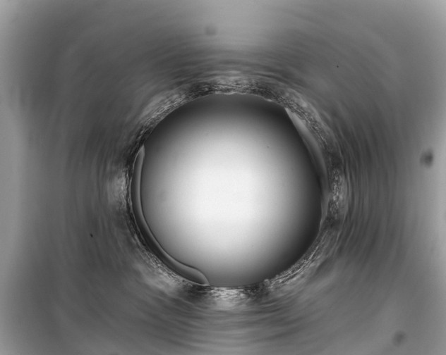 X0000099440333200805161140